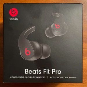 Earphones